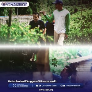 usaha produktif anggota 2