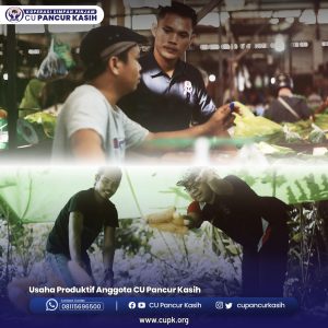 usaha produktif anggota 1