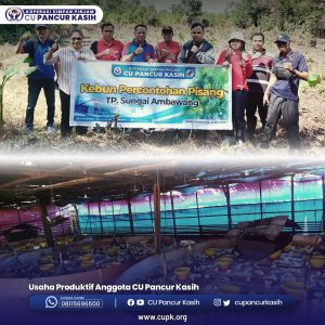 usaha produktif anggota 4