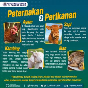 pinjaman pertanian peternakan 3